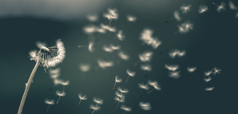 The Secret Ingredient Is Letting Go
